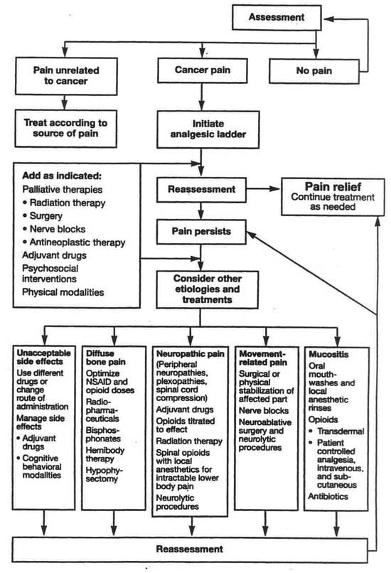 Flowchart: Continuing pain management in patients with cancer