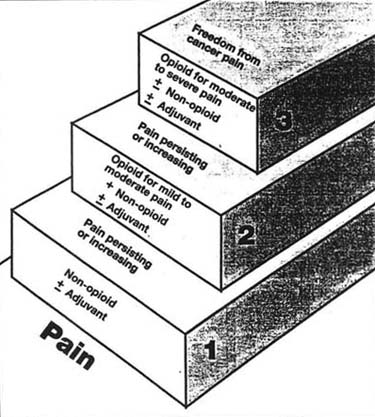 The WHO three-step analgesic ladder