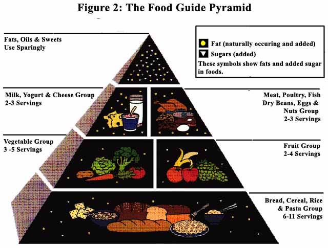 meat poultry fish dry beans eggs and nuts group